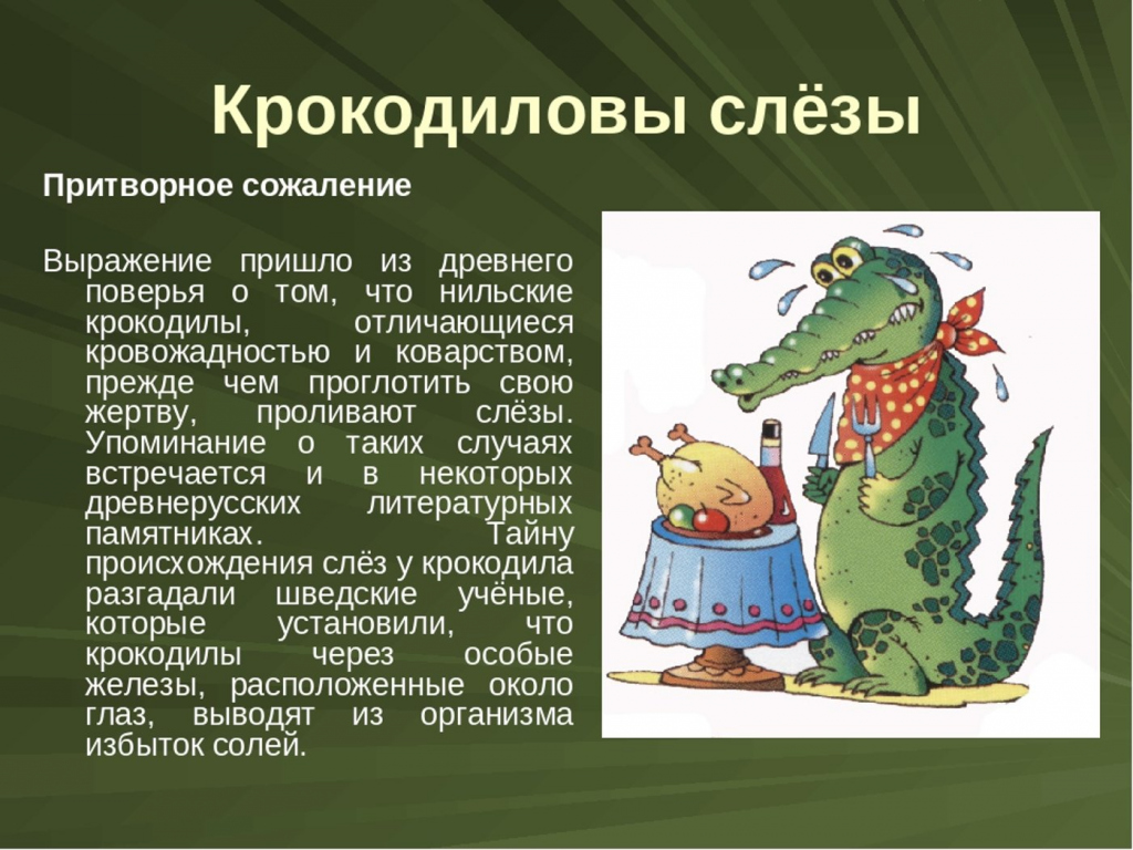 Почему крокодил плачет: домашние животные, выбор, уход и воспитание, каталог компаний, эксперты.