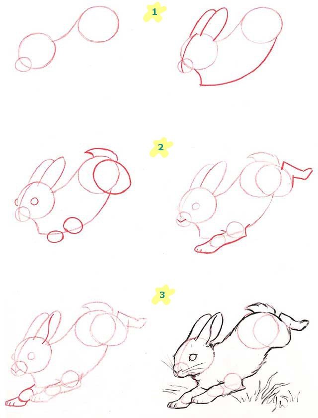 Як намалювати зайчика поетапно, фото 11