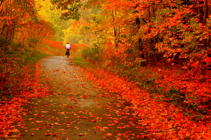 Вірші про осінь