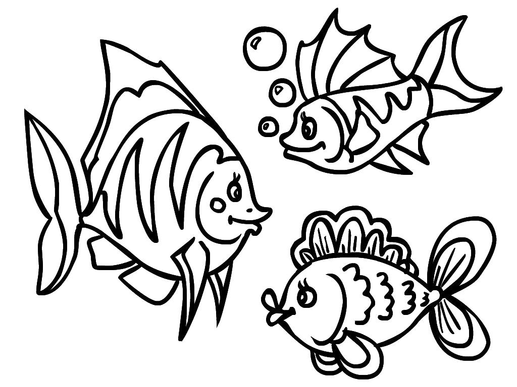 Картинка для раскрашивания рыбки: Детские раскраски рыб