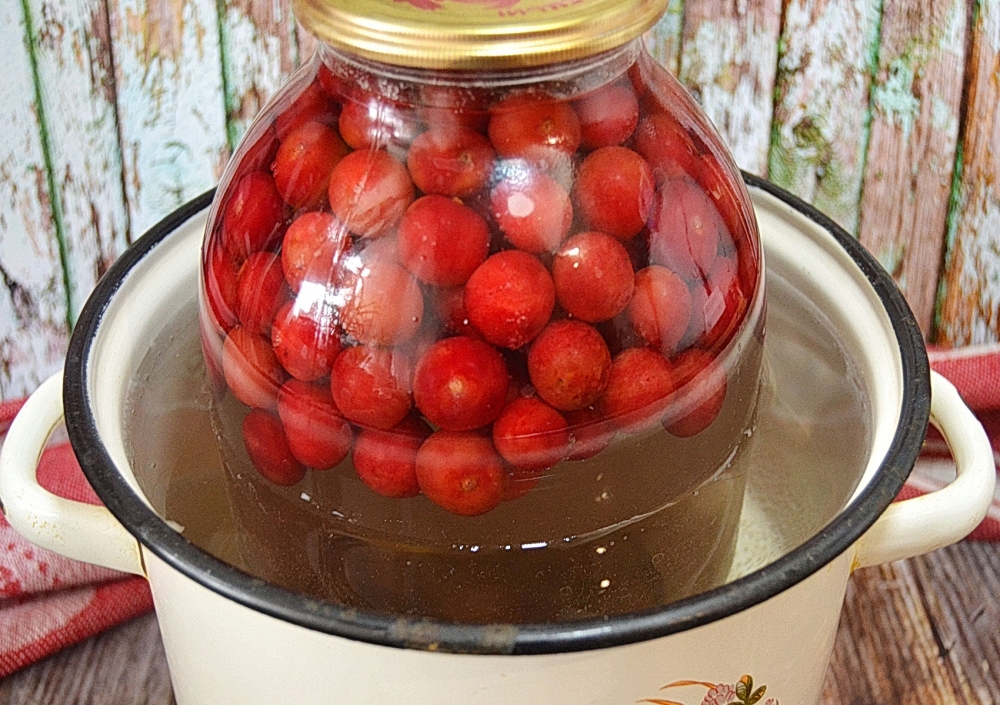 Как варить компот из ягод свежих: Компот из свежих ягод - пошаговый рецепт с фото на Повар.ру