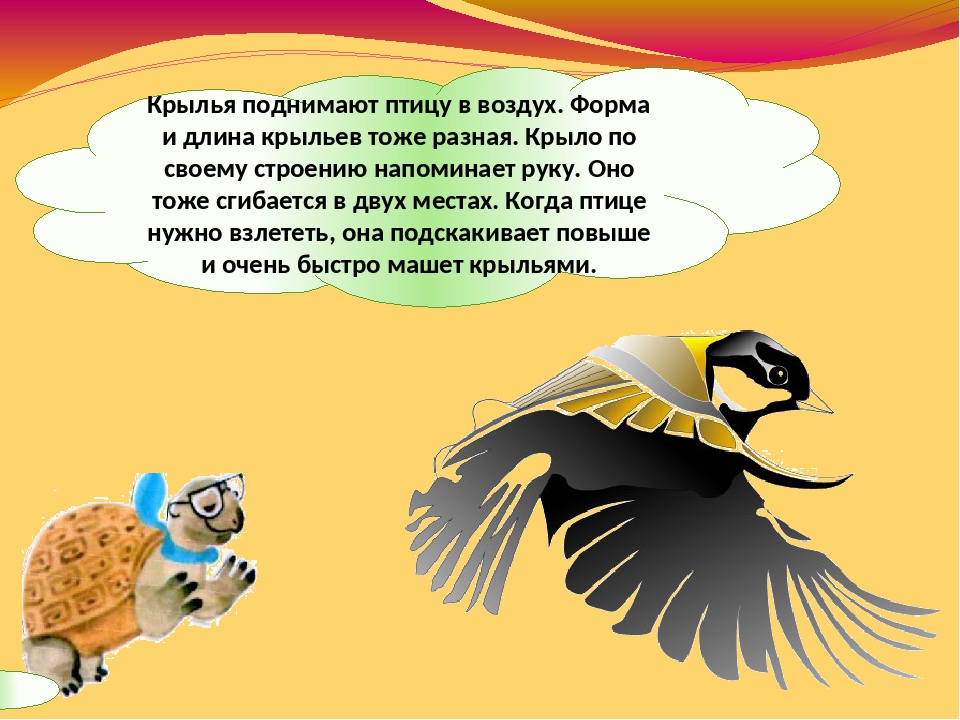 С крылышками а не птица: Загадка. Не птичка, а с крыльями. Что это?