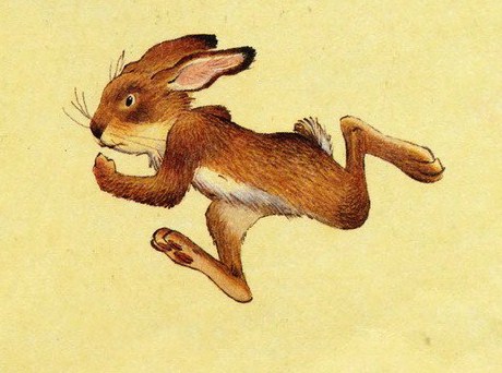 Еж и заяц к ушинский: Заяц и еж - Ушинский К.Д. Читать онлайн с картинками.