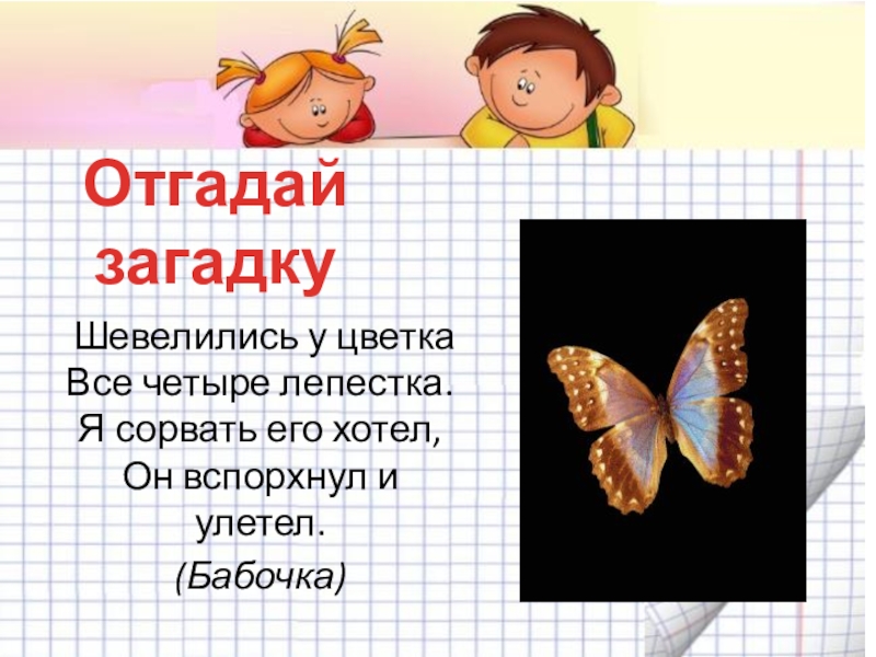 Загадка про бабочку: Загадки про бабочку с ответами