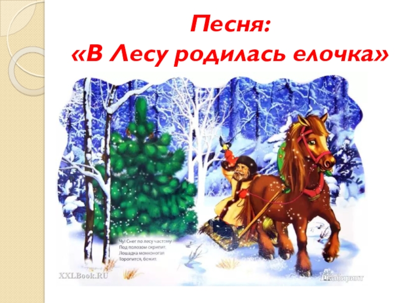 Слова песенки в лесу родилась елочка: Текст, мелодия песни В лесу родилась елочка | Сайт для всей семьи