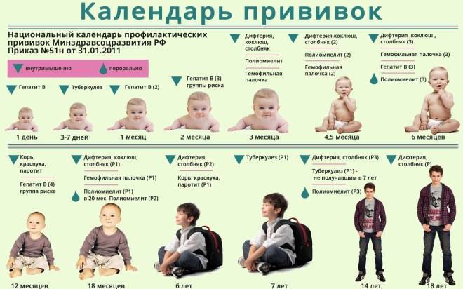Календарь вакцинации детей в россии 2020: Национальный календарь профилактических прививок - Центр общей врачебной практики