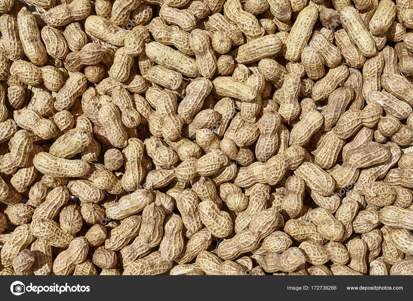 Аллергия на арахис: Аллергия на арахис - причины, симптомы и лечение