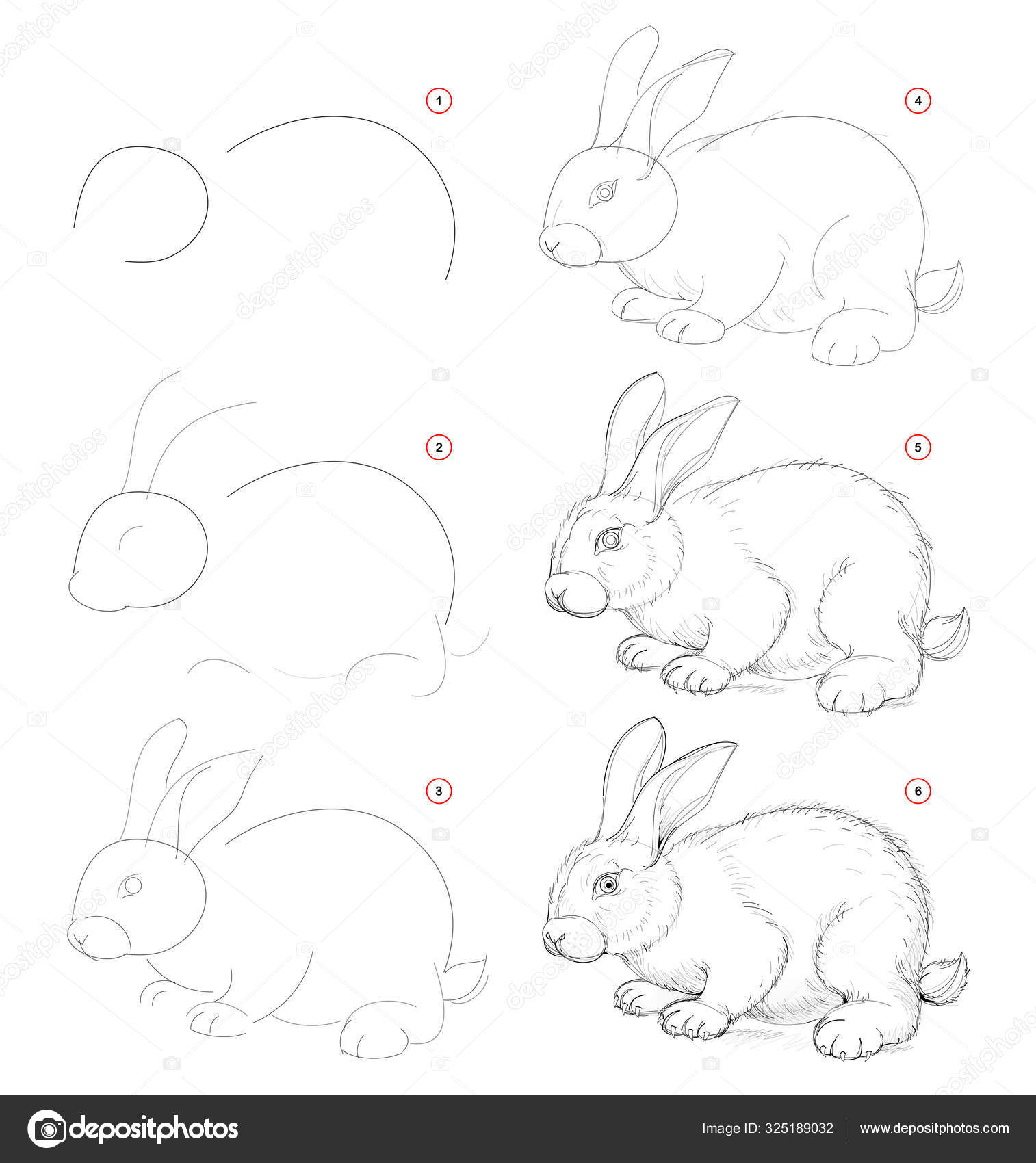 Как поэтапно рисовать зайца карандашом: Как нарисовать зайца карандашом