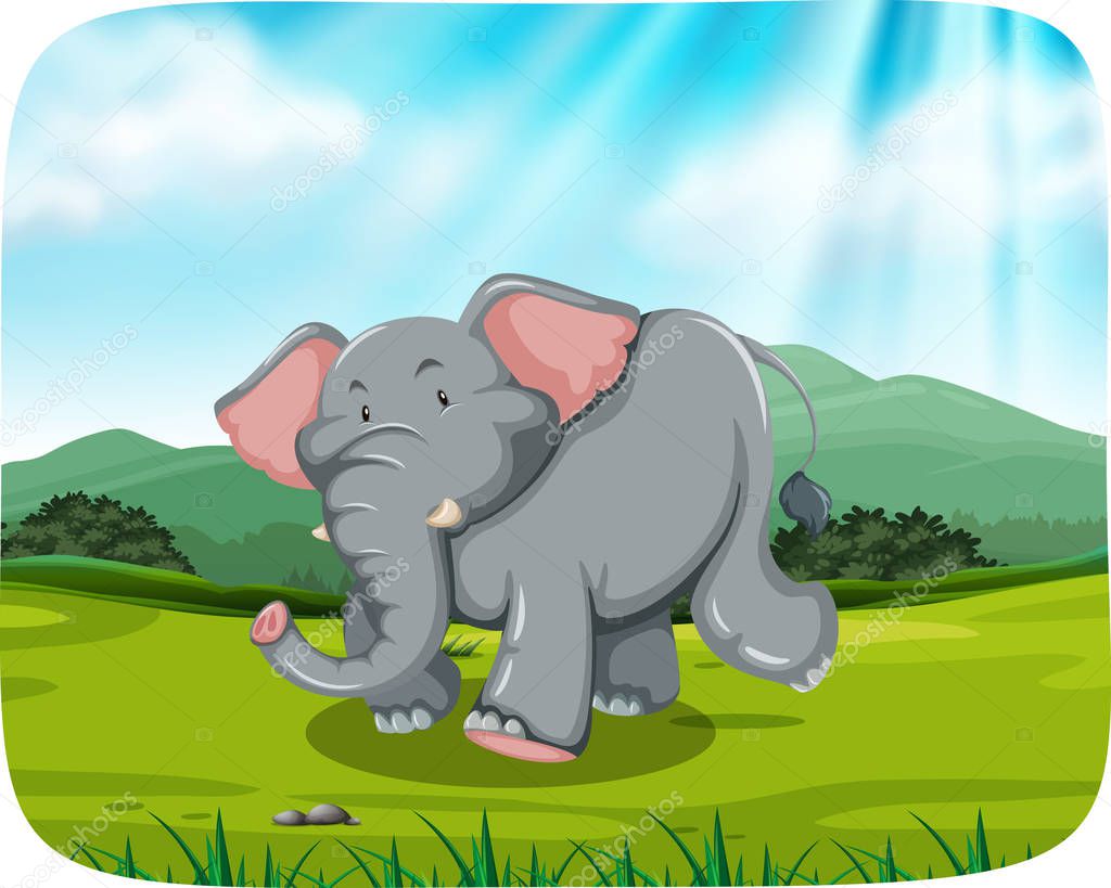 Загадки для детей про слона: Загадки про слона (для детей)