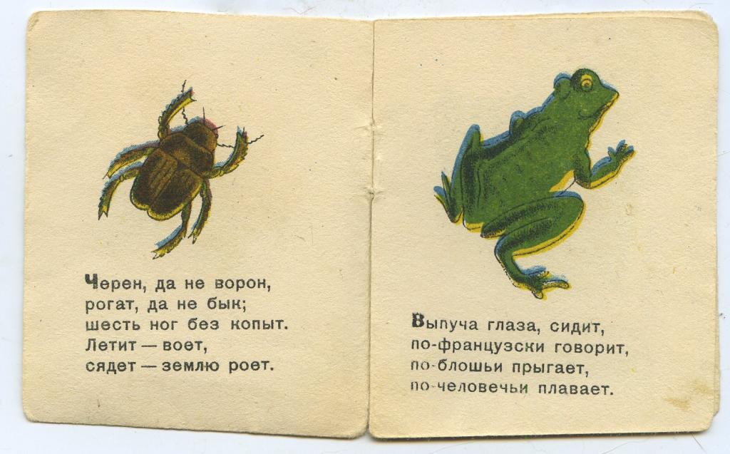 Сверху кожа снизу тоже а в середине пусто загадка: Найди и выпиши антонимы. 1.Сверху кожа снизу то же. А в середине пысто.2. Ночь но если...