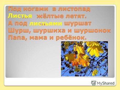 Детские стихи про листопад: Стихи о листопаде: 50 красивых стихотворений со смыслом ✍