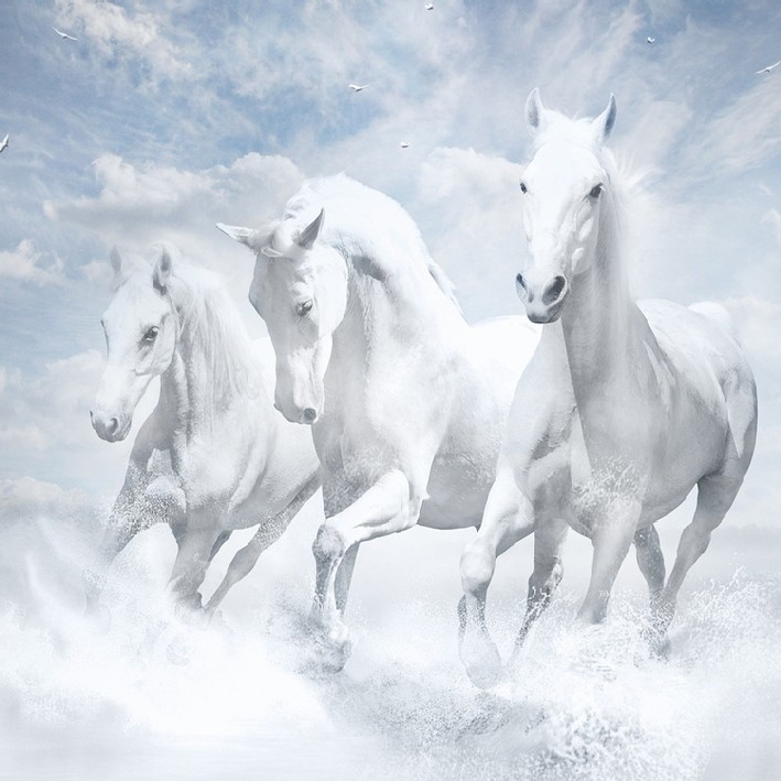 Слушать песню 3 белых коня: Песня Тройка (Три белых коня) слушать онлайн и скачать