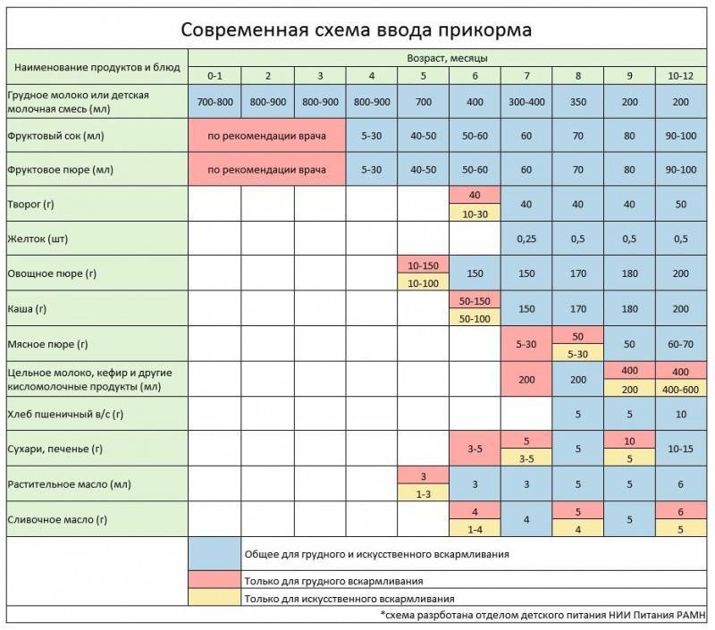 Когда в прикорм вводить тыкву: как варить, когда вводить в прикорм грудничку