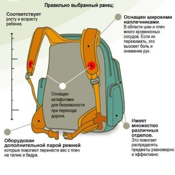 Чем отличается рюкзак от портфеля: Вся правда о том, как выбрать ранец для первоклассника.