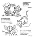 Короткие загадки про животных для детей 8 лет: Загадки про животных с ответами
