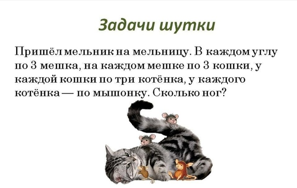 Загадки веселые для детей с подвохом: Смешные загадки с ответами для детей