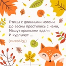 Загадки об осени с ответами сложные: Загадки про осень для дошкольников и школьников с ответами