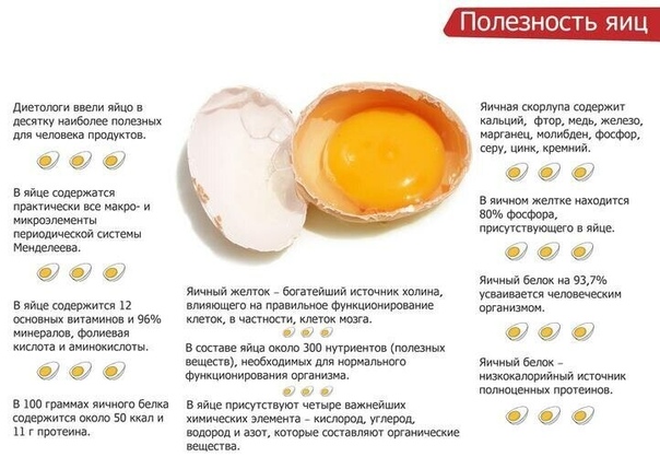 Сколько можно съесть яиц натощак: Сколько можно яиц съесть натощак? Польза и вред сырых яиц :: SYL.ru