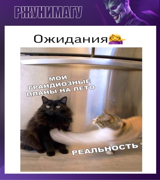 Ожидания не оправдываются: Что делать, если ожидания не оправдываются?