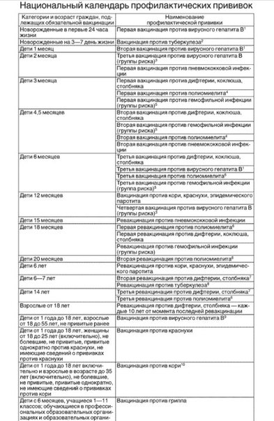 План прививок детям в россии: График прививок детям до года, какие плановые привики делают грудничкам