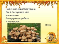 Загадки сложные про грибы: Загадки про грибы с ответами