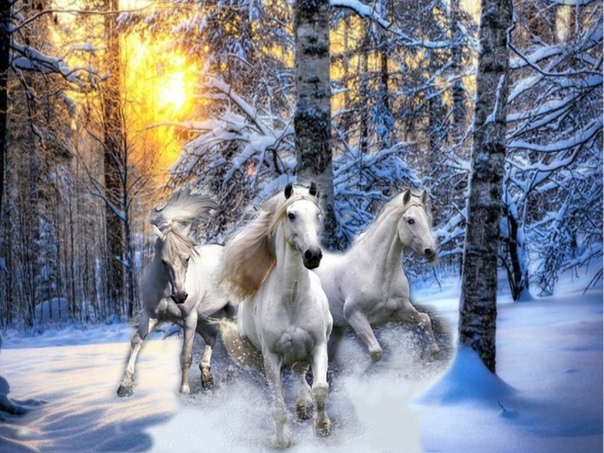 3 белых коня: Скачать бесплатно Ансамбль Детские Песни - Три белых коня в MP3