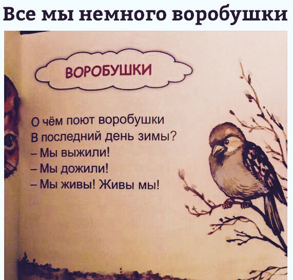 Колыбельная про воробушка: Колыбельная сказка про воробья слушать онлайн и скачать