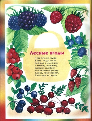Загадка про грибы и ягоды: Загадки про ягоды и грибы часть 2