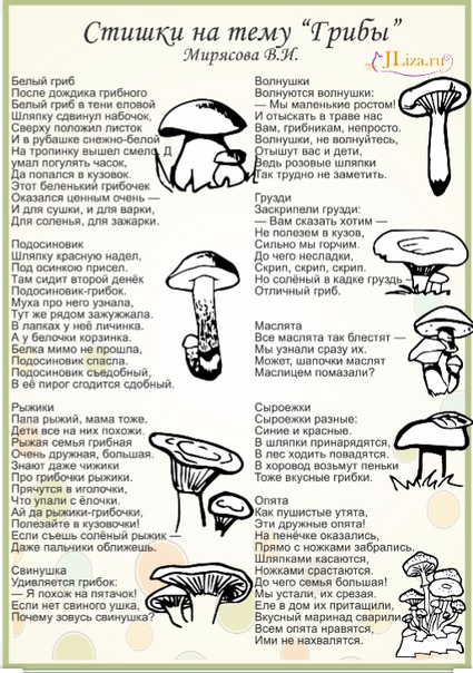 Загадка про грибы и ягоды: Загадки про ягоды и грибы часть 2
