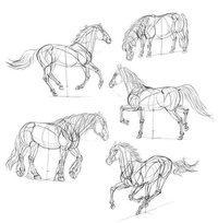Рисуем лошадь поэтапно для детей: КАК РИСОВАТЬ ЛОШАДЬ КАРАНДАШОМ » Как рисовать поэтапно. Уроки рисования карандашом для начинающих