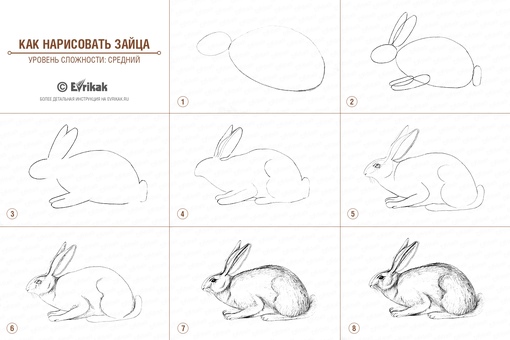 Рисуем зайца поэтапно с детьми: Как нарисовать зайца поэтапно 10 уроков