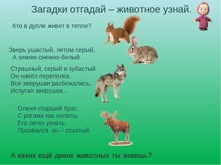 Сложные загадки о животных с ответами для 5 класса: Загадки про животных с ответами