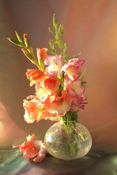 Как сохранить гладиолусы в вазе: срезка и хранение соцветий. Как сохранить свежесть срезанных гладиолусов в вазе
