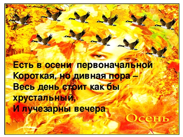 Небольшой стих о осени: Короткие стихи про осень: красивые русских поэтов маленькие, небольшие стихотворения для детей