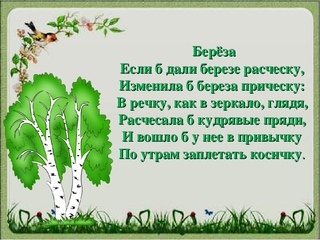 Загадки о березе для детей: Загадки про березу с ответами