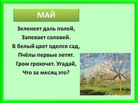 Загадки про времена года для детей с ответами: Загадки про времена года для детей