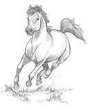 Рисунок лошади для детей карандашом: Как нарисовать лошадь поэтапно легко и красиво