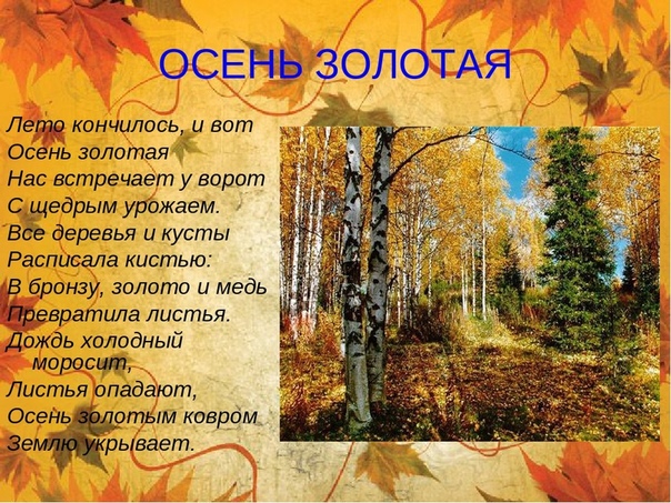 Осенний лес стихи для детей: Стихи детям про осенний лес