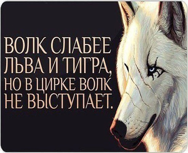 Пришел волк весь народ умолк ясен сокол пришел весь народ пошел ответ: "пришел волк — весь народ умолк" (загадка), 4 буквы, сканворд