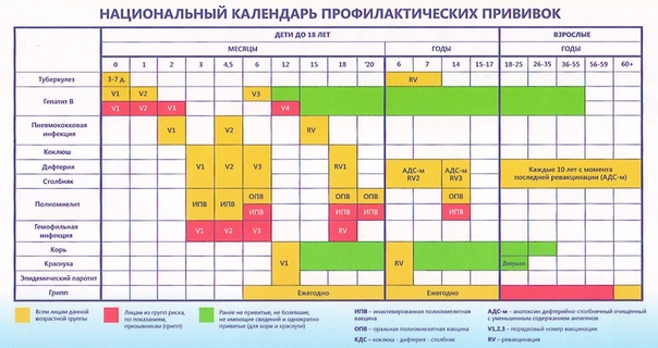 План прививок детям в россии: График прививок детям до года, какие плановые привики делают грудничкам