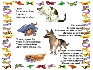 Загадки про животных для детей 6 лет: Загадки : "Домашние животные" | Картотека (старшая группа):