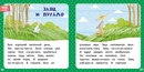 Сказки для 6 детей: Сказки для детей 6 лет