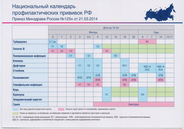 Календарь прививок это: Национальный календарь прививок. Родителям на заметку. Специалисты о прививках