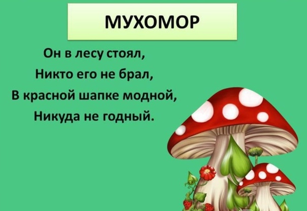 Загадка про грибы и ягоды: Загадки про ягоды и грибы часть 2