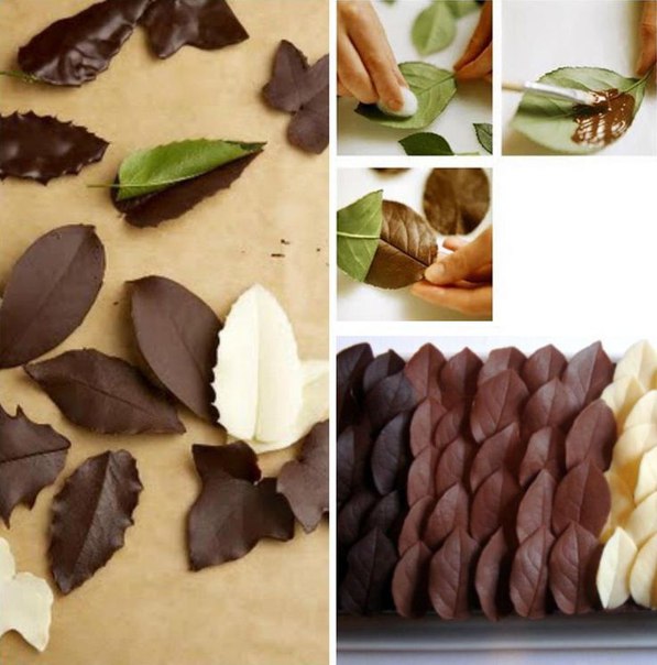 Листья шоколадные: Шоколадные листья — украшение для торта своими руками с фото