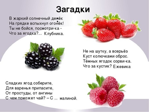 Загадки ягоды: Загадки про ягоды для детей