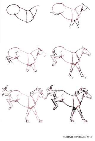 Как нарисовать лошадь для детей пошагово: Как нарисовать лошадь поэтапно легко и красиво