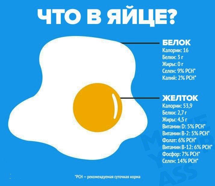 Сколько можно съесть яиц натощак: Сколько можно яиц съесть натощак? Польза и вред сырых яиц :: SYL.ru
