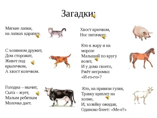 Русские народные загадки с ответами про животных: Загадки про животных для детей с ответами