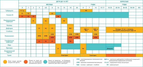 Календарь прививок это: Национальный календарь прививок. Родителям на заметку. Специалисты о прививках